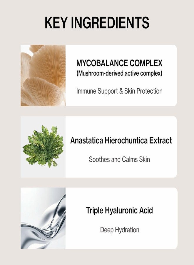 Shangpree AA Moisturizer, Lightweight Hydration for a Dewy Glow, Balances Oil-Water Levels, Soothes and Calms Skin, Triple Hyaluronic Acid, 50ml / 1.69 fl.oz. - Image 3